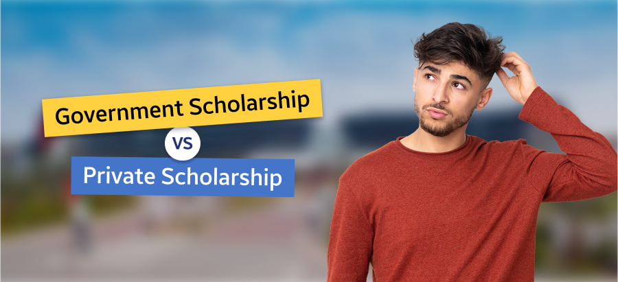 Government vs Private Scholarships
