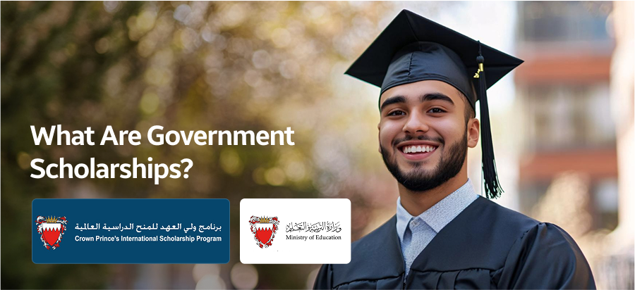 Government vs Private Scholarships