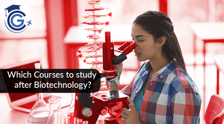 Which Courses to study after Biotechnology?